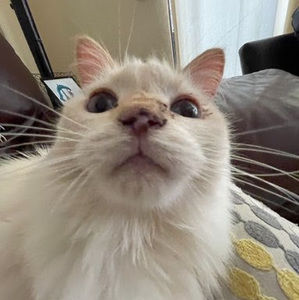 Meet your Posher, Skyler